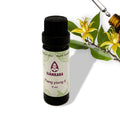 Etherische olie Ylang ylang II - 11 ml