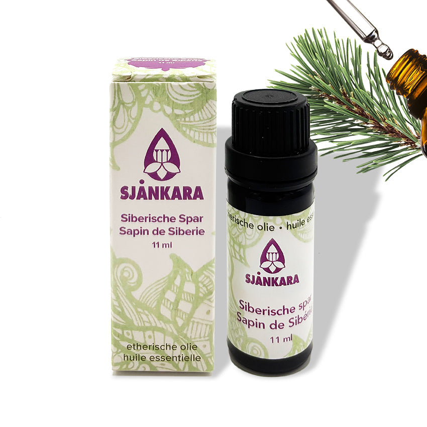 Etherische olie Siberische spar - 11 ml