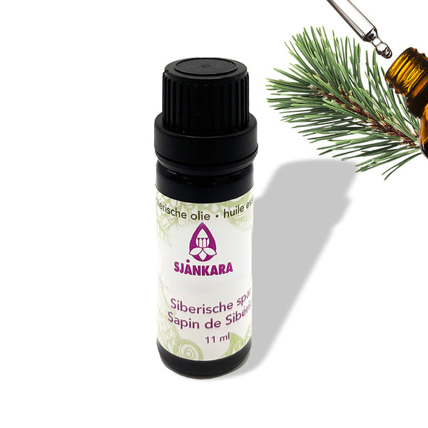 Etherische olie Siberische spar - 11 ml