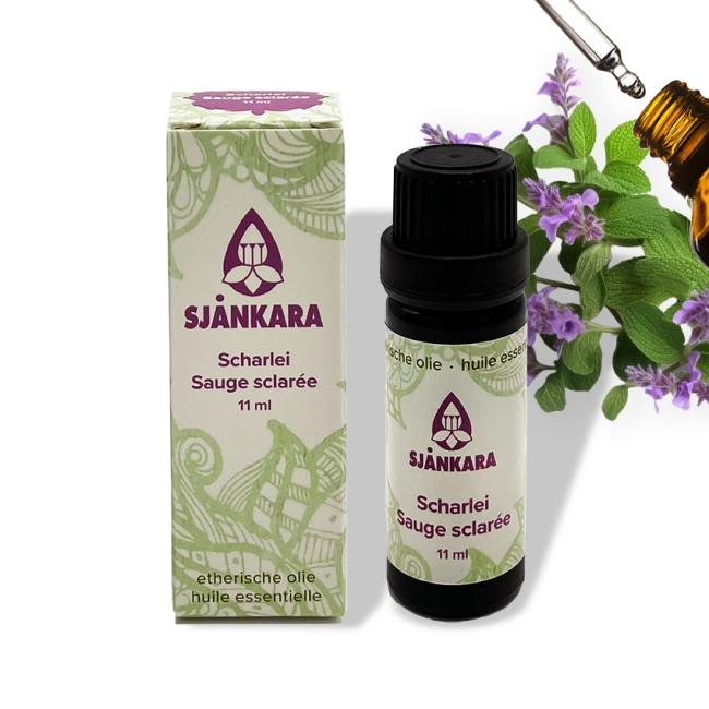 Etherische olie Scharlei – 11 ml