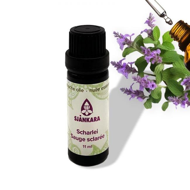 Etherische olie Scharlei – 11 ml