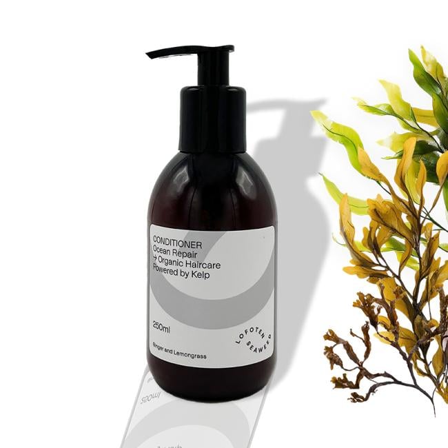 Lofoten Seaweed Conditioner Ocean boost – 250 ml