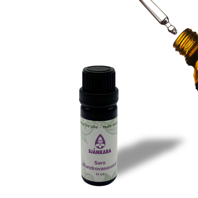 Essentiële olie Saro Mandravasarotra - 11 ml