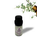 Essentiële olie Gele Tijm - Linalool - 11 ml