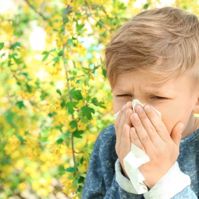 Bach Bloesem Mix omgaan met Allergie - Kind