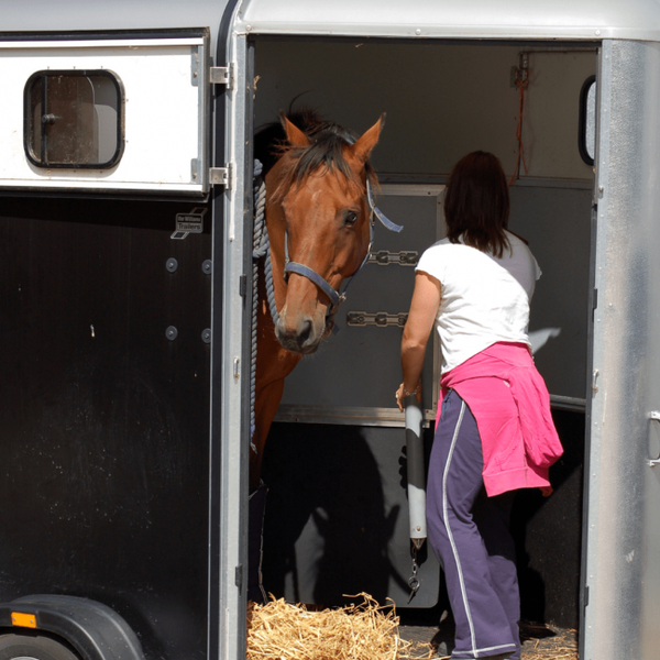 Bach Bloesem Mix Stress paard