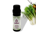 Etherische olie Venkel – 11 ml