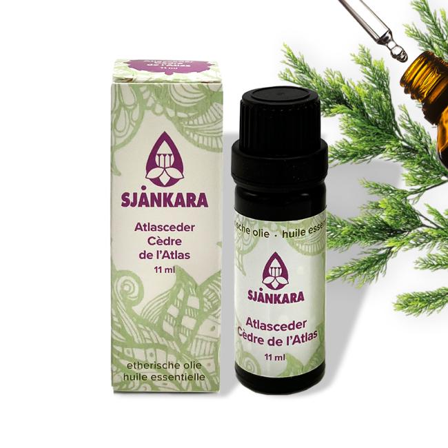 Etherische olie Atlasceder - 11 ml