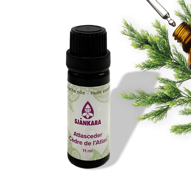 Etherische olie Atlasceder - 11 ml