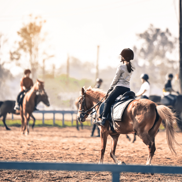 Bach Bloesem Mix Paard op maat