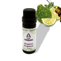 Etherische olie Atlasceder - 11 ml