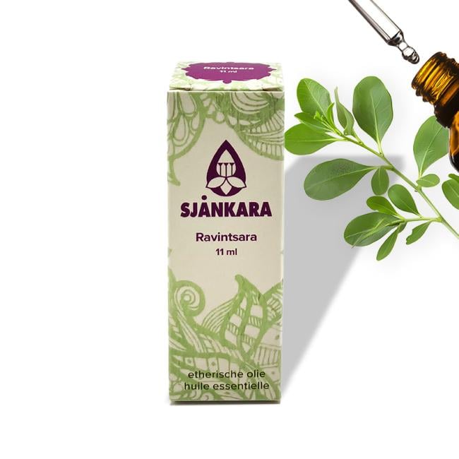 Etherische olie Ravintsara - 11 ml