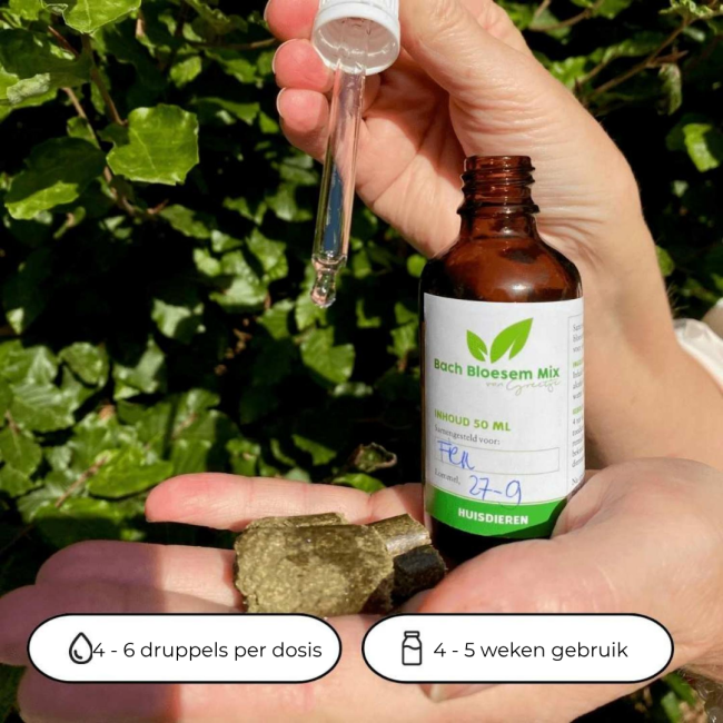 Bach Bloesem Mix Stress paard
