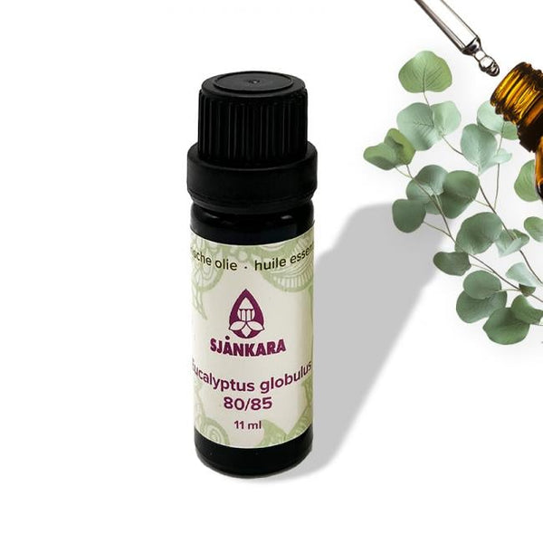 Etherische olie Eucalyptus, globulus - 11 ml
