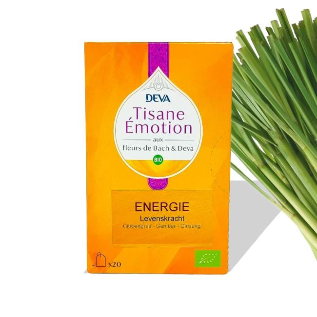 Etherische olie Rode tijm ct. Thymol - 11 ml